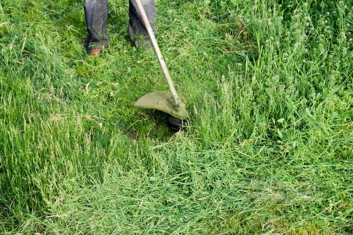 Nová záhrada - kosenie